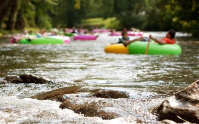 Deaths in Guadalupe and Comal River Accidents
