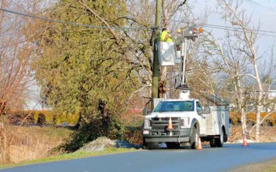 Utility and Crane Truck Accidents