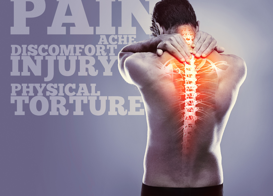 Let’s Take an In-Depth Look at Spine Injuries