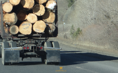 Lumber and Logging Truck Accidents